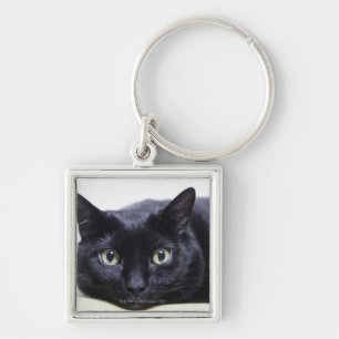 Llavero Retrato de un gato