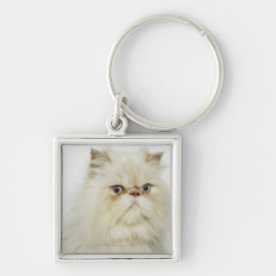 Llavero Retrato de un gato persa