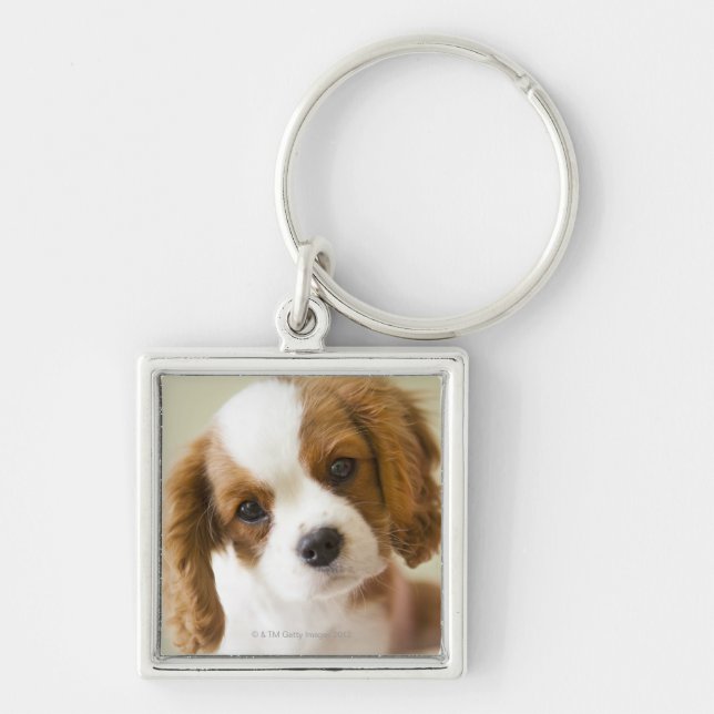 Llavero Retrato de un perrito del perro de aguas de rey (Frente)