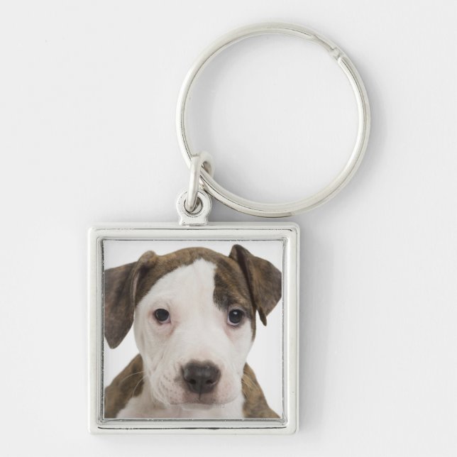 Llavero Retrato de un perrito del pitbull (Frente)