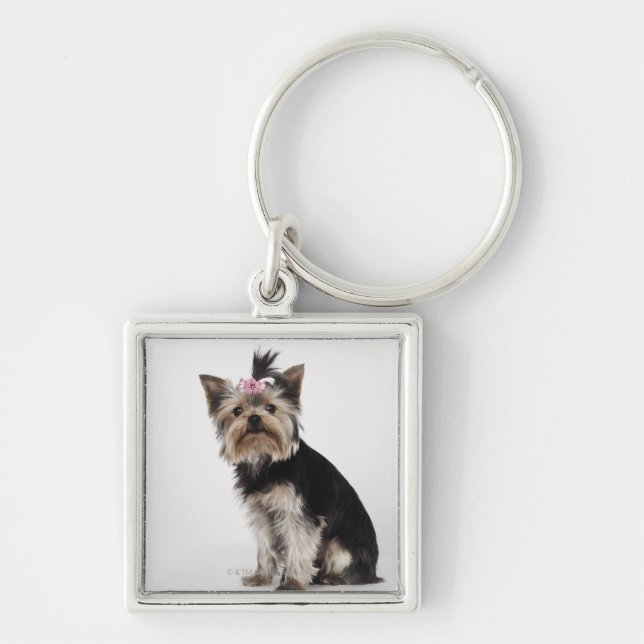 Llavero Retrato de un perro de Yorkshire Terrier (Frente)