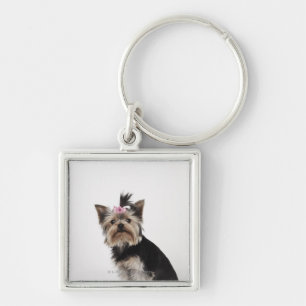 Llavero Retrato de un perro de Yorkshire Terrier