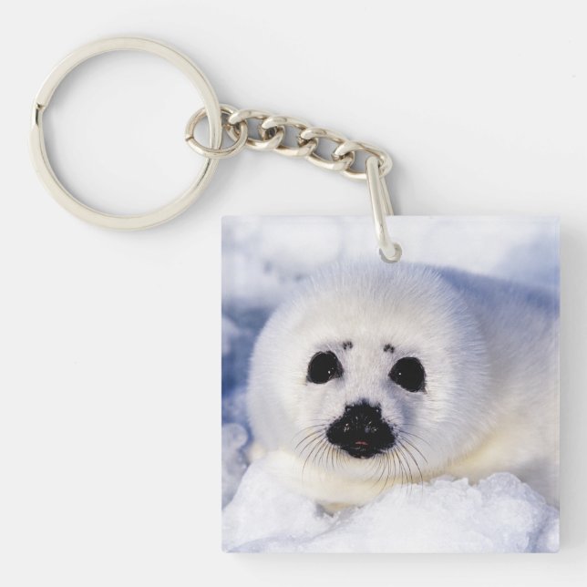 Llavero Retrato de una cría de foca arpón (Frente)