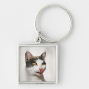 Llavero Retrato de una lamedura blanca del gato