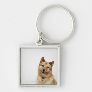 Llavero Retrato de una sonrisa finlandesa del perro del
