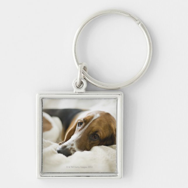 Llavero Retrato del Bassett, Washington 2 (Frente)