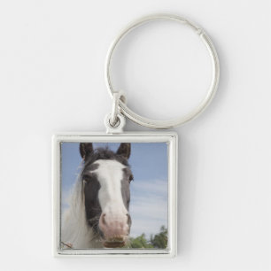 Llavero Retrato del caballo de Clydesdale