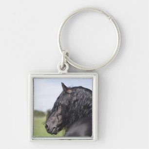 Llavero retrato del caballo negro con la melena larga