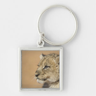 Llavero Retrato del cachorro de león (Panthera Leo),