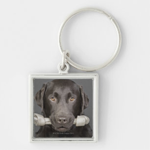 Llavero Retrato del estudio de llevar de Labrador del