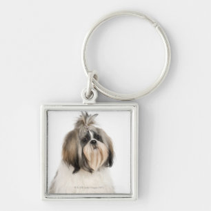 Llavero Retrato del estudio de Shih Tzu