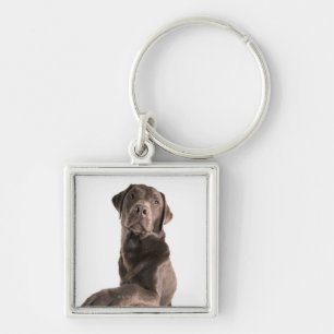 Llavero Retrato del estudio del chocolate Labrador