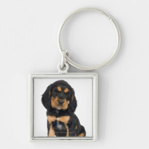 Llavero Retrato del estudio del perrito de Rottweiler