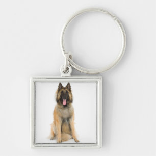 Llavero Retrato del estudio del perro de pastor belga