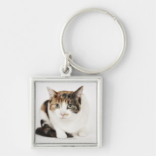 Llavero Retrato del gato de calicó