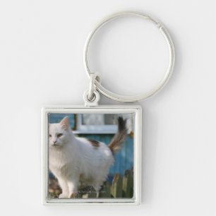 Llavero Retrato del gato en la cerca