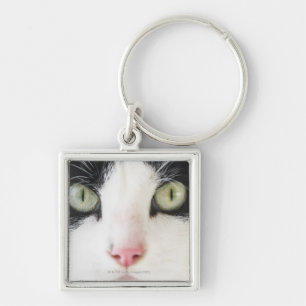 Llavero Retrato del gato nacional