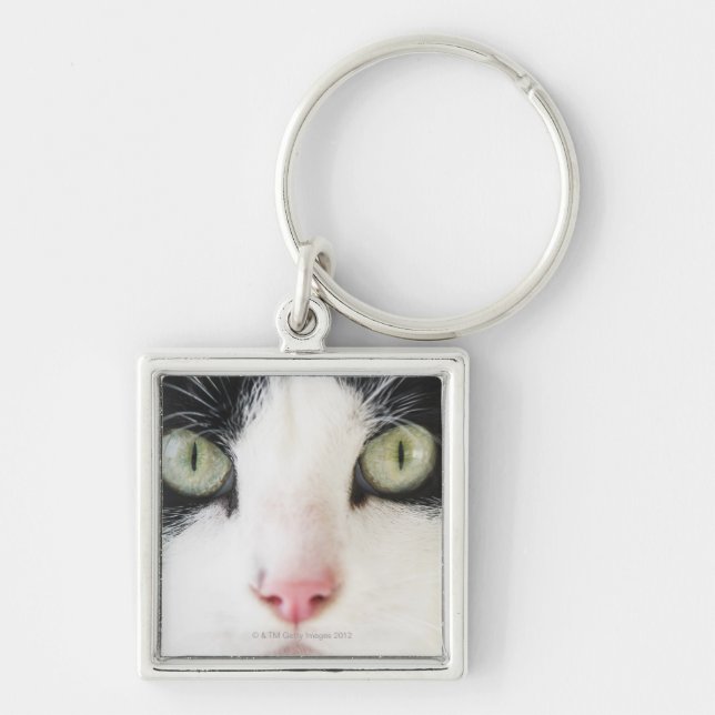 Llavero Retrato del gato nacional (Frente)