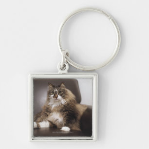Llavero Retrato del gato que se sienta en silla
