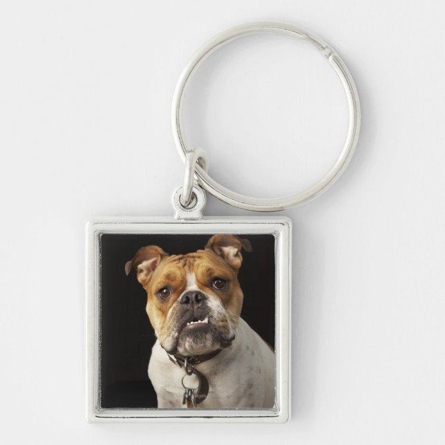 Llavero Retrato del moreno y bulldog blanco con el cuello (Frente)