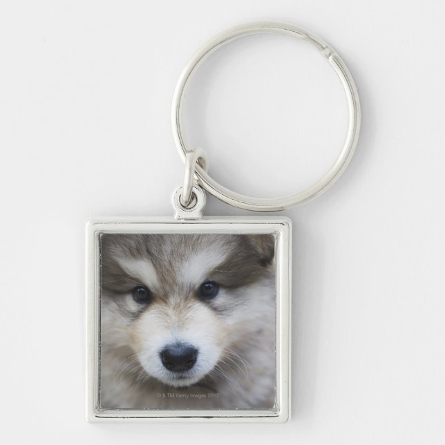Llavero Retrato del perrito (Frente)