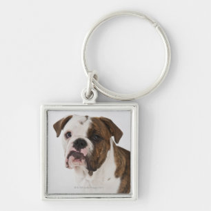Llavero Retrato del perrito lindo del bulldog