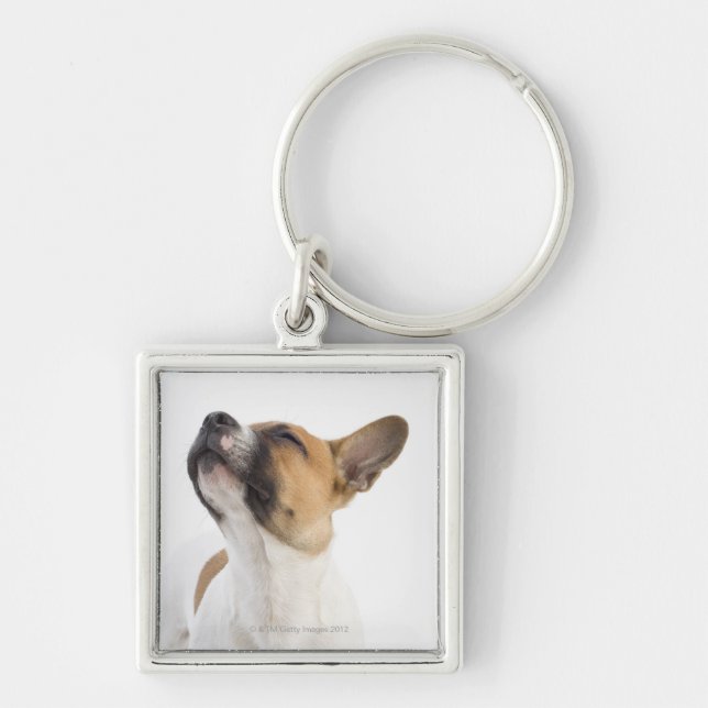 Llavero retrato del perrito mestizo (Frente)