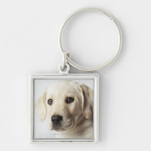 Llavero Retrato del perrito rubio del labrador retriever