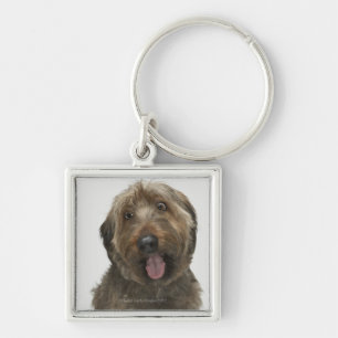 Llavero Retrato del perro de Briard