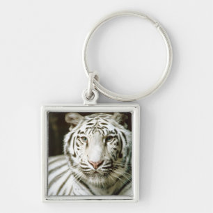 Llavero Retrato del tigre