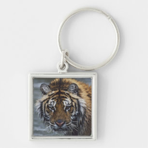 Llavero Retrato del tigre siberiano mojado