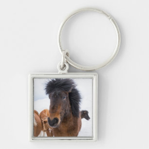 Llavero Retrato divertido de caballo islandés