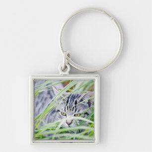 Llavero retrato joven del gato