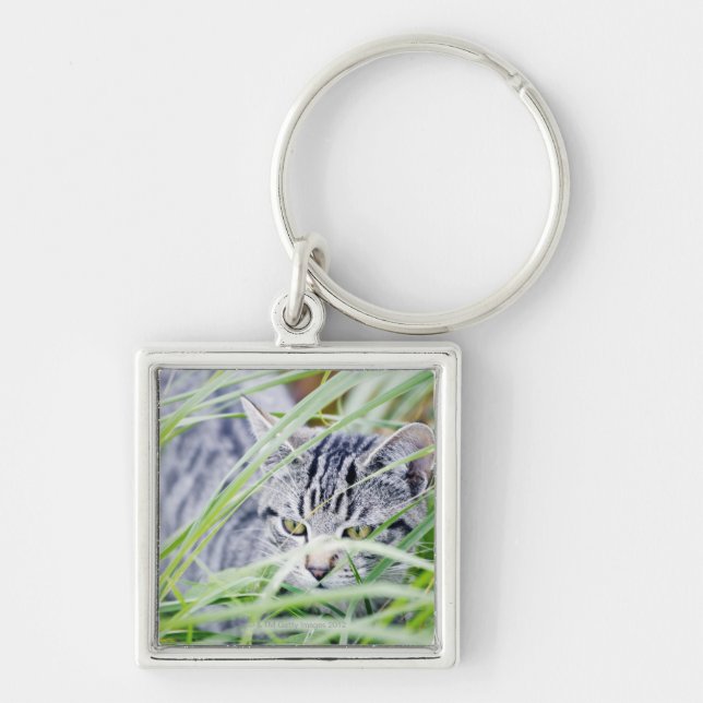 Llavero retrato joven del gato (Frente)
