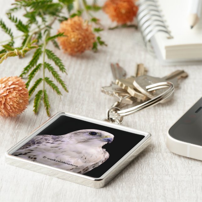 Llavero Retrato visto de un inquisitivo Halcón (Lado)