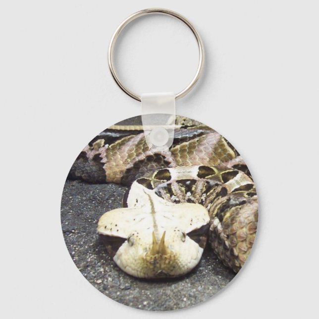 Llavero rhinoceros viper (Anverso)