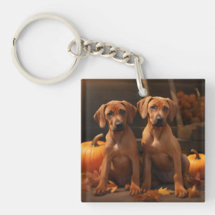 Llavero Rhodesia Ridgeback Puppy Calabaza deslumbrante de