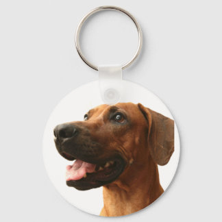 Llavero Rhodesian Ridgeback