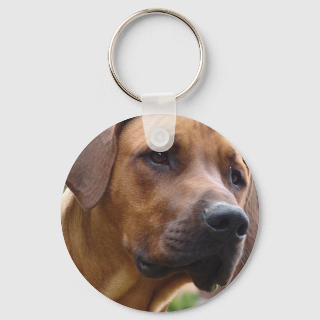 Llavero Rhodesian Ridgeback Keychain (Anverso)