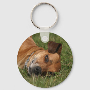 Llavero Rhodesian Ridgeback Keychain
