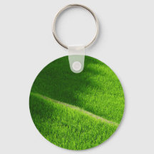 Rice Terraces Yamada's Rice Fields Japan