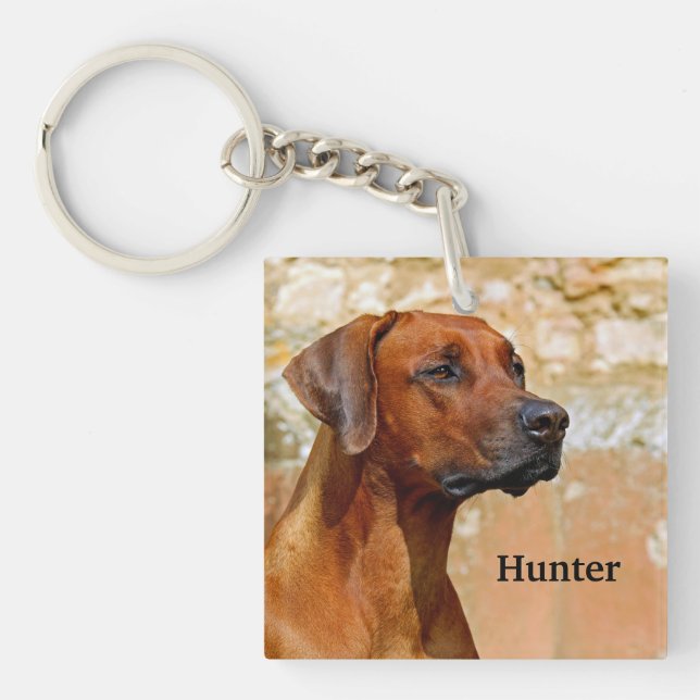 Llavero Ridgeback Dog Rhodesia (Frente)