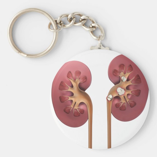 Llavero riñones (Frente)