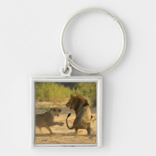 Llavero Río de Timbavati, parque nacional de Kruger, el