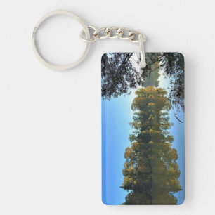 Llavero Río Willamette, Oregón