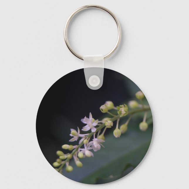 Llavero Rivina humils (Anverso)