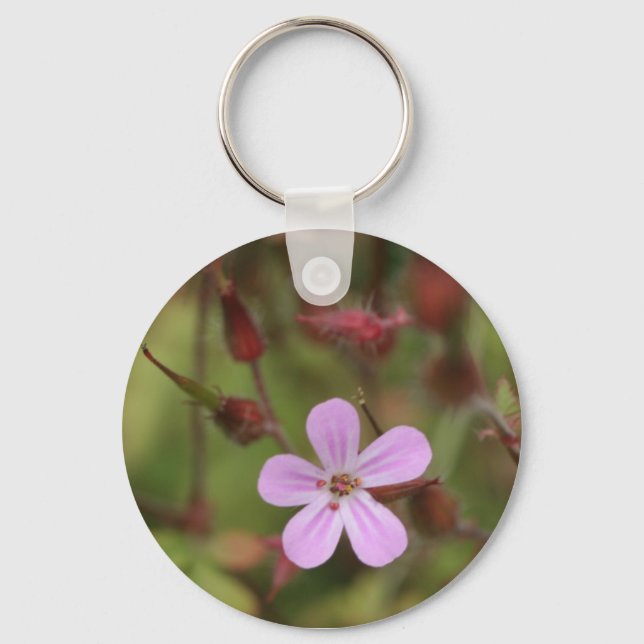 Llavero robertskruid (Anverso)