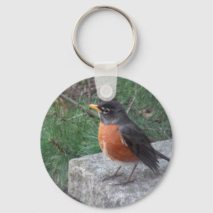 Llavero Robin Cute En Garden Photo