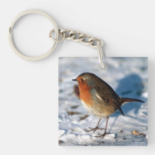 Llavero Robin En La Nieve
