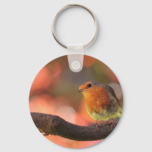 Llavero Robin en una rama (Anverso)